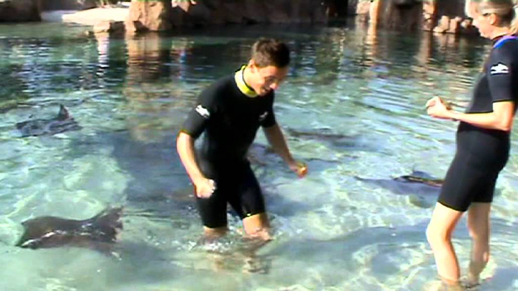 Family Fun in Florida