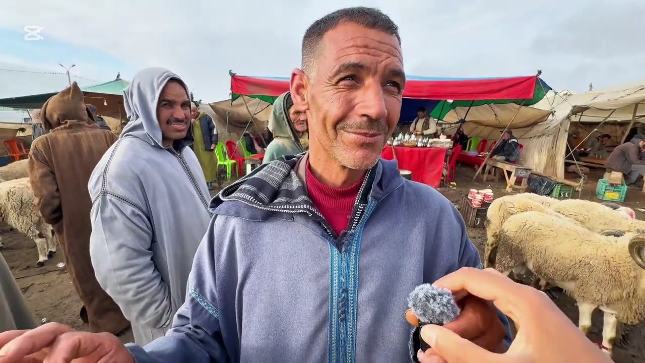 ثمن حولي العيد الاضحى 2025 -1-28