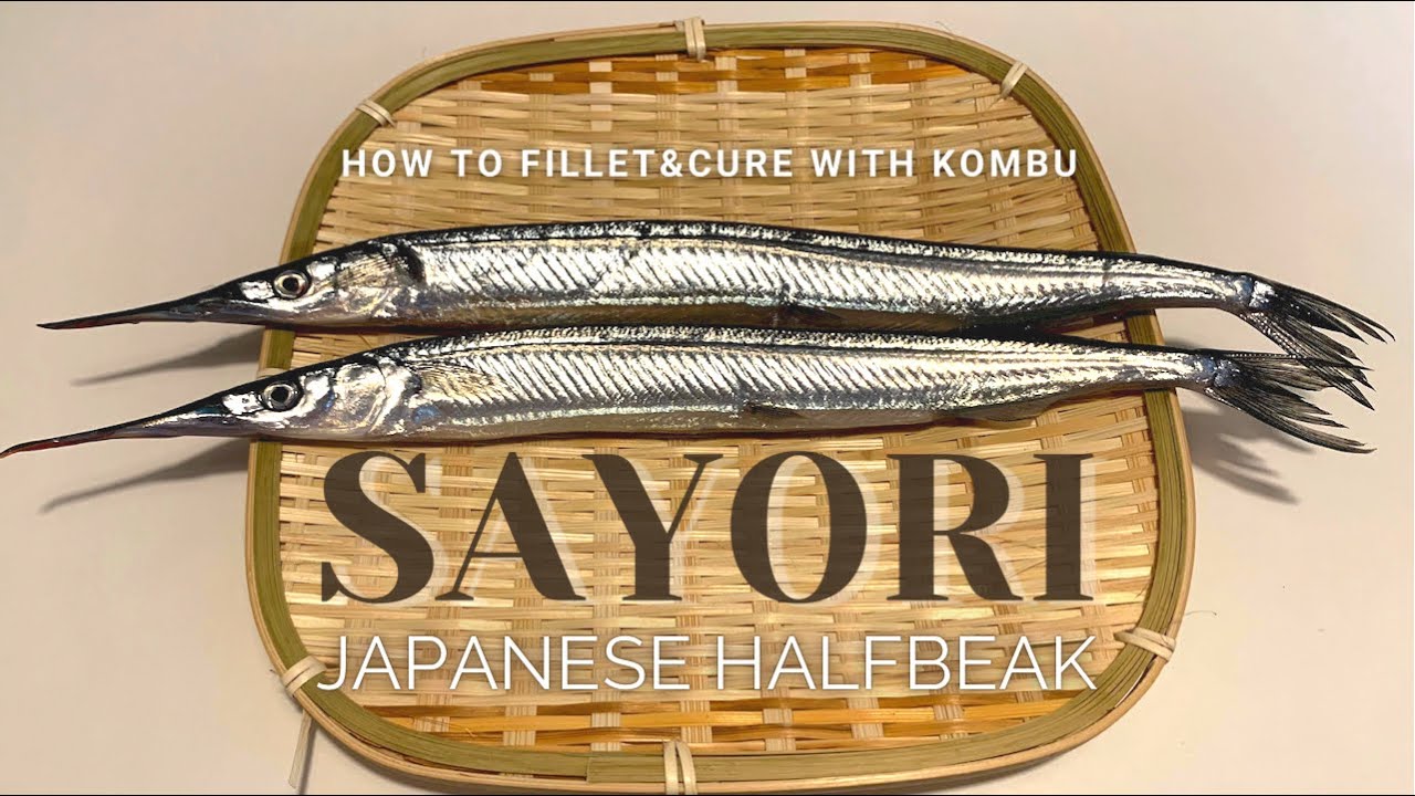 Let’s enjoy Sayori!【Ultimate method to prepare and fillet Sayori, Japanese Halfbeak】サヨリを捌き方・昆布締め