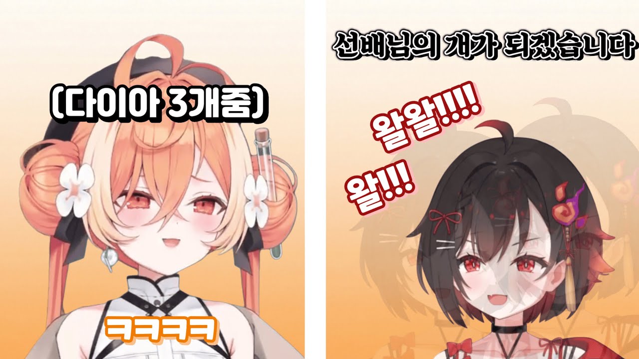 선배님의 개가 되겠습니다!!! 왈왈왈왈