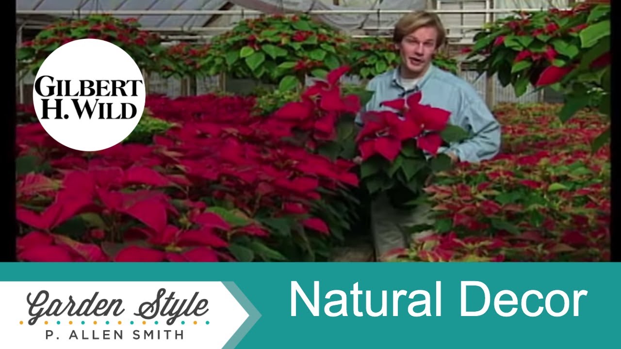 Natural Holiday Decorations  | Garden Style (606)
