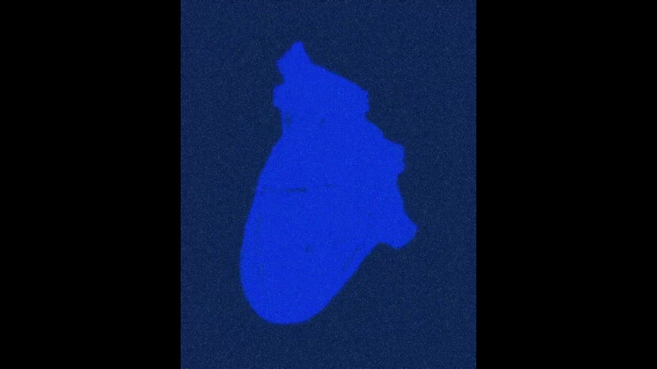GEEBS - Ocean (Vertical Lyric Video)
