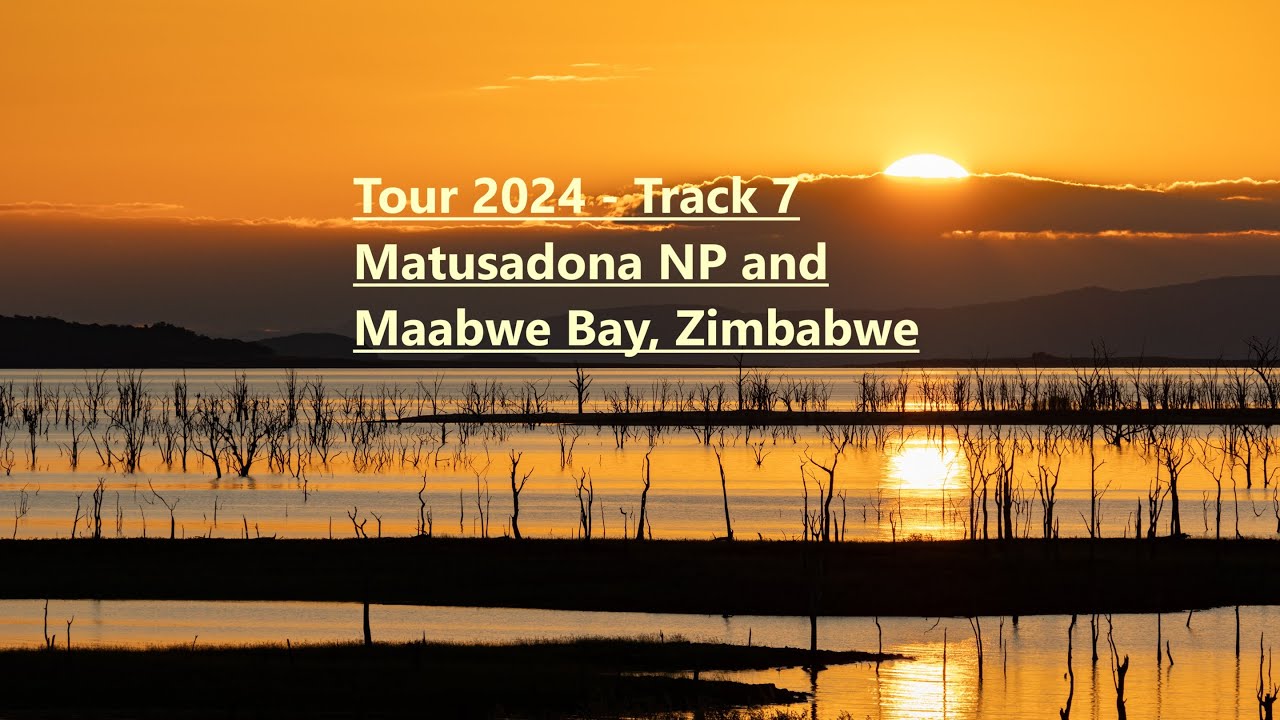 Tour 2024 - Track 7 - Matusadona NP and Maabwe Bay, Zimbabwe, 4k