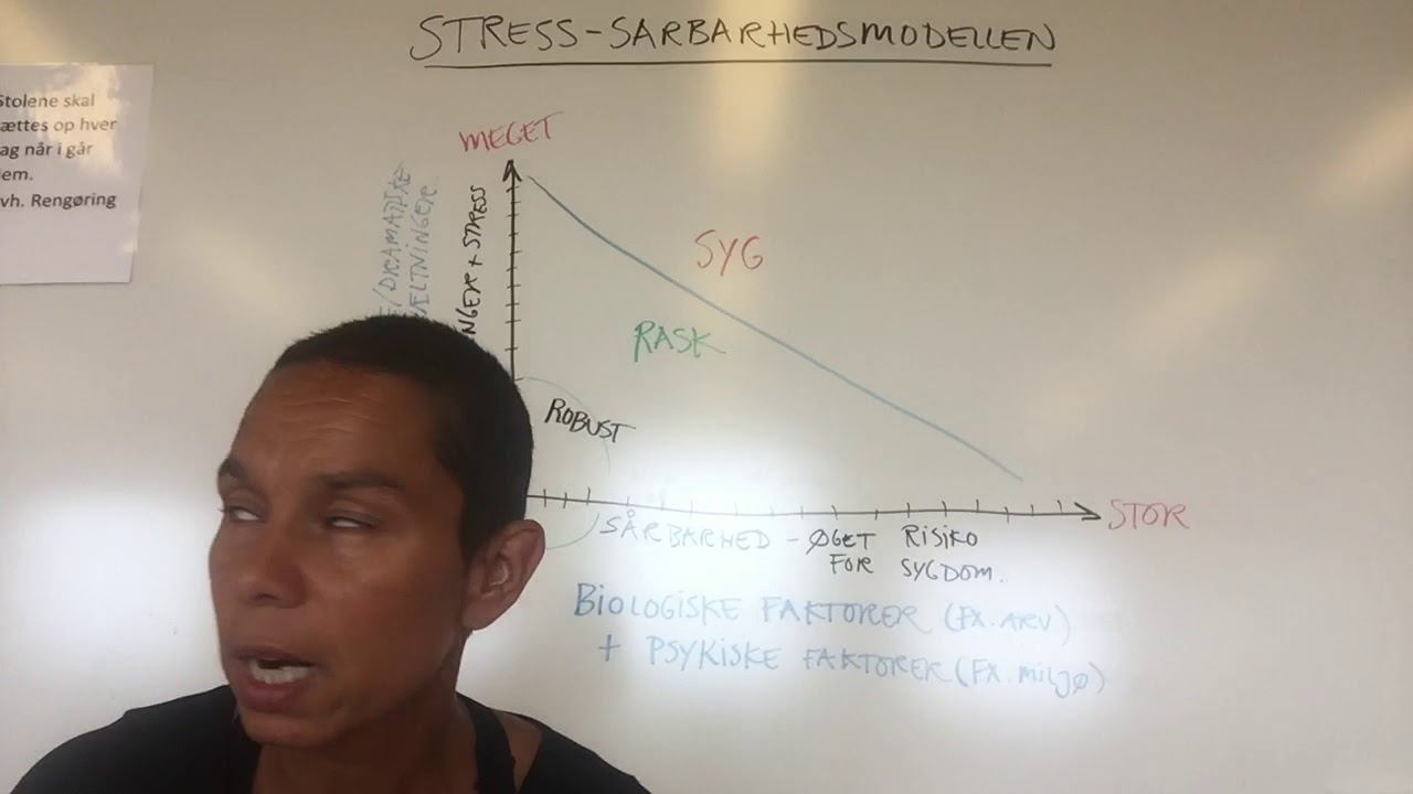 Stress-sårbarhedsmodellen