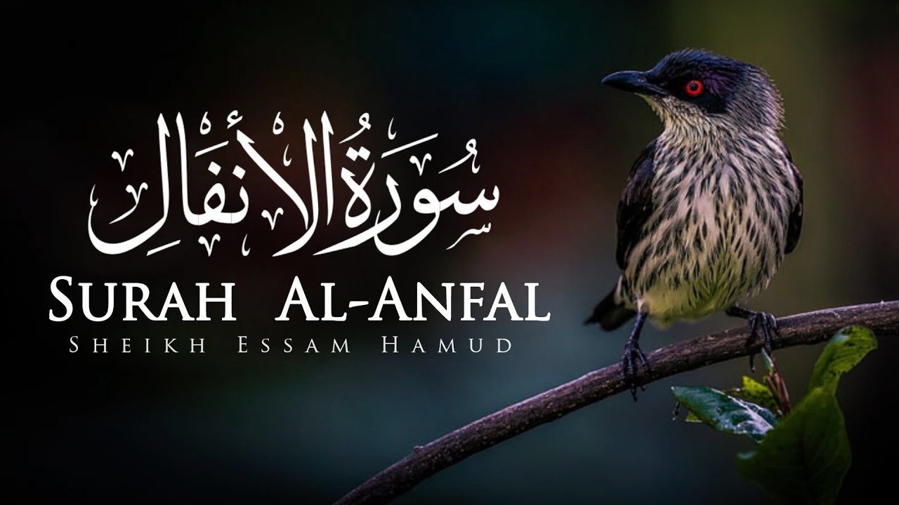 سورة الأنفال | القاري عصام حمود | تلاوة القرآن Surah Al-Anfal