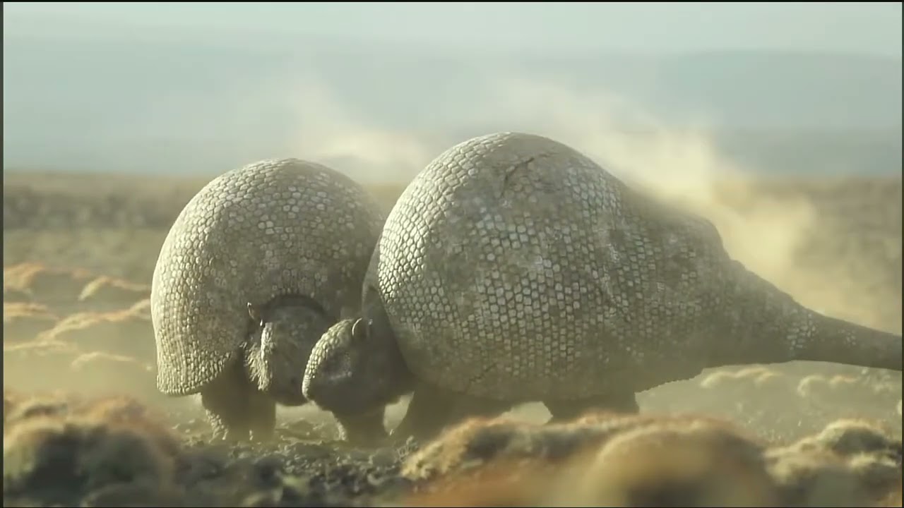 Doedicurus Battle | Prehistoric Planet: Ice Age | OFFICIAL CLIP
