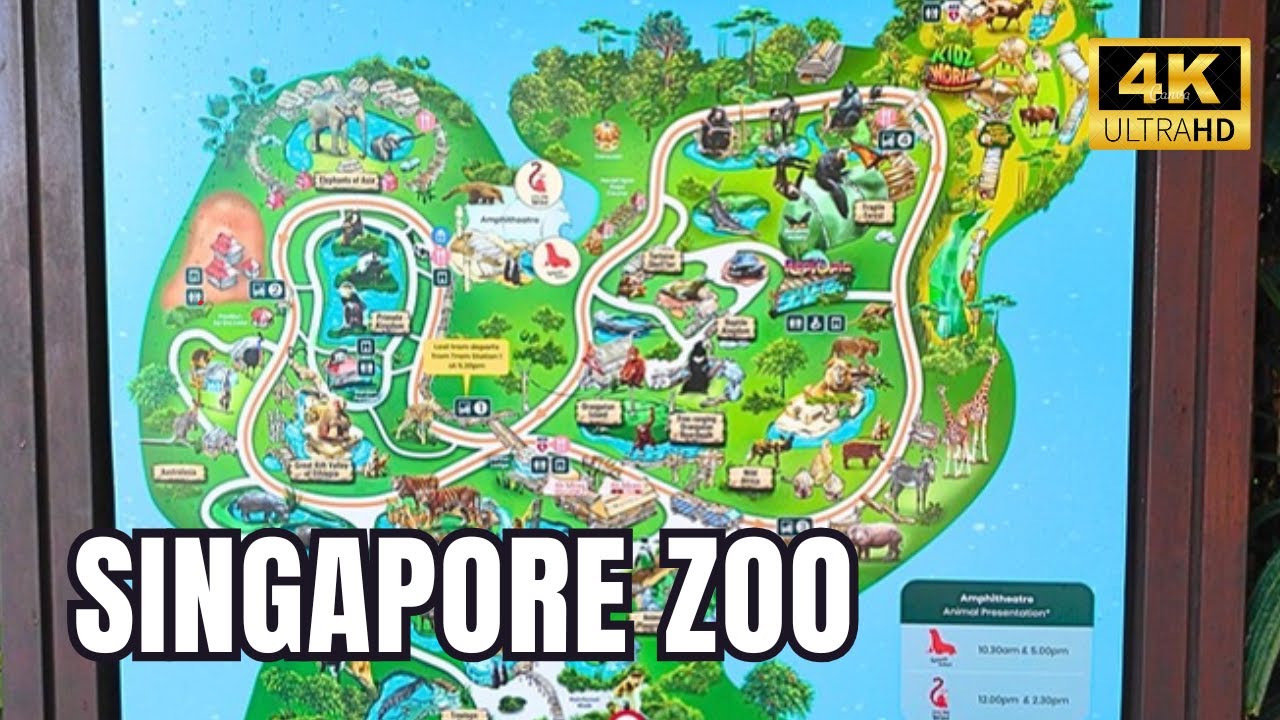 Exploring Singapore Zoo in [4K] - Best Zoo In Asia