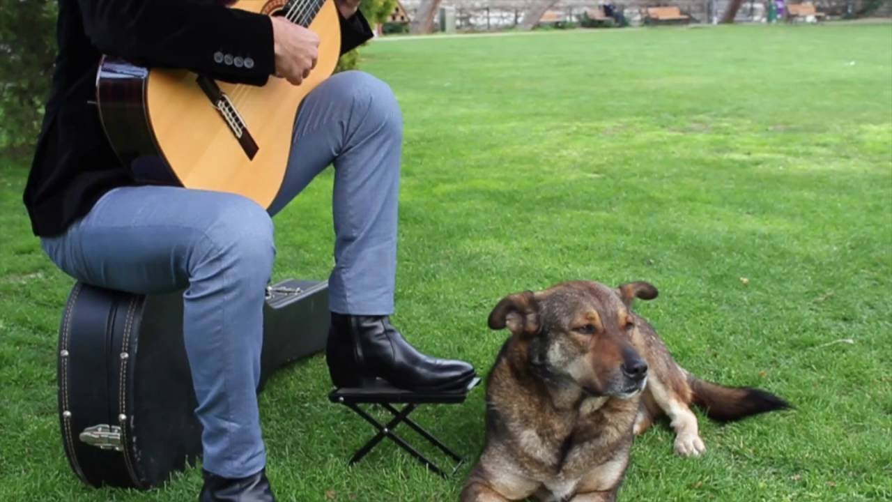 Murat Usanmaz - J.S.BACH Preludio 1006a