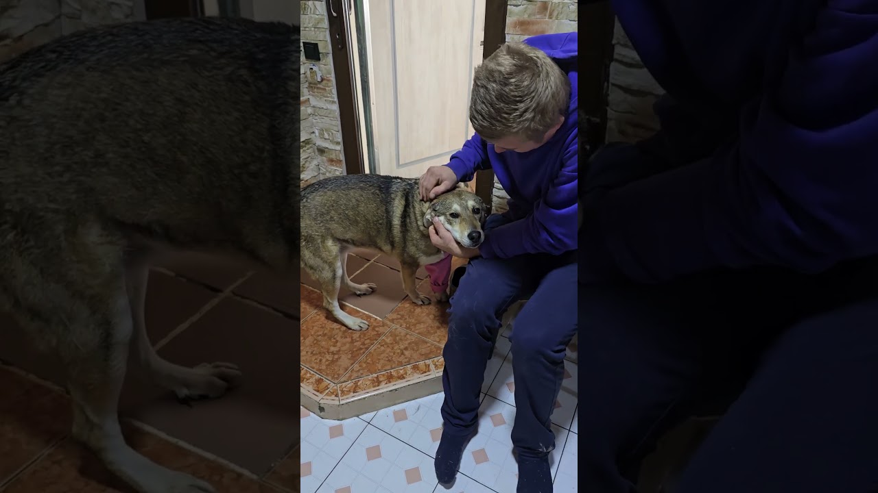 Дашенька, очень всегда хотела жить рядом со мной. 