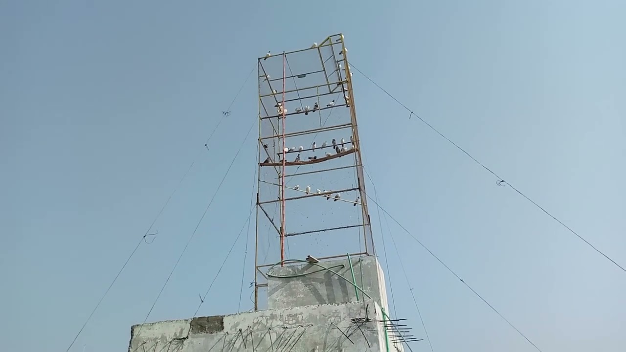 mashallah 2 bachy pakar liya han AJ abi tak