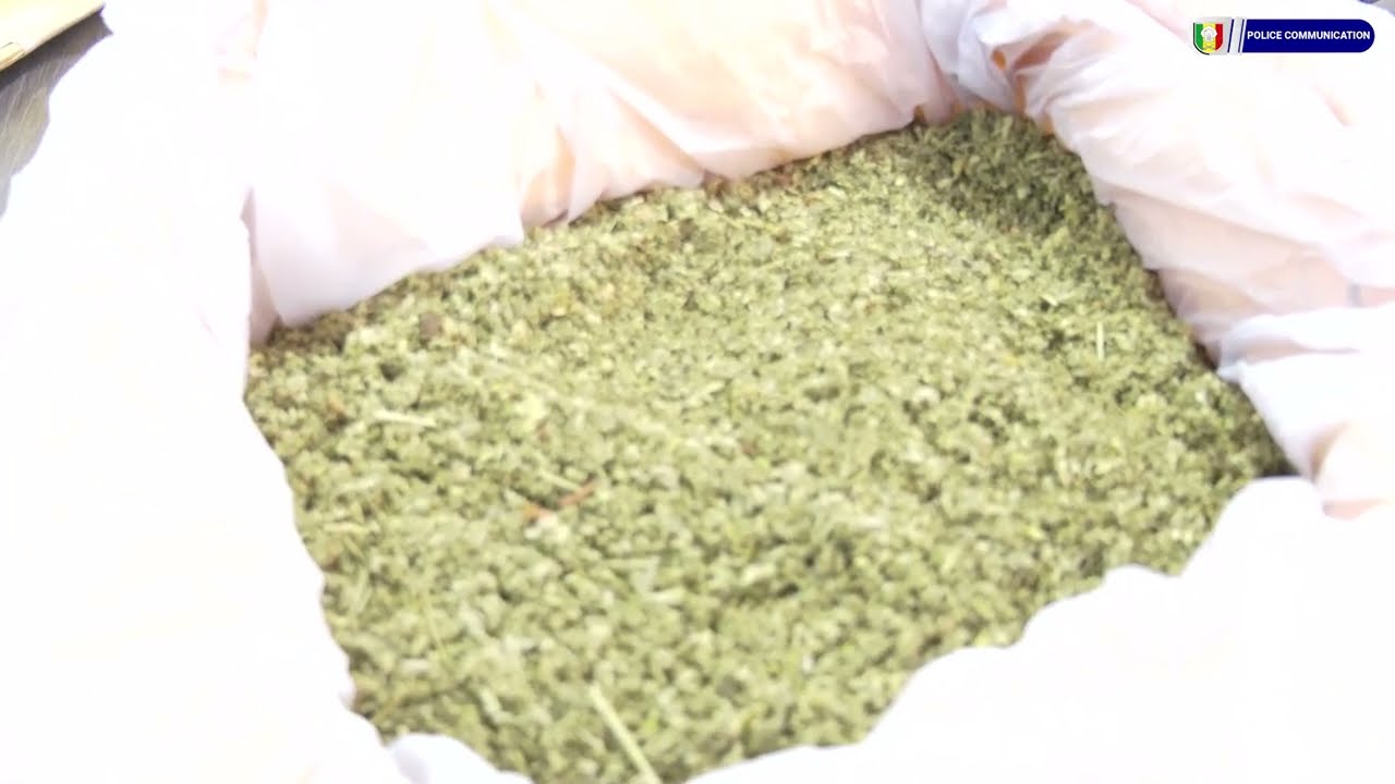 Retour en images sur l'interpellation de deux individus pour trafic international de drogue.