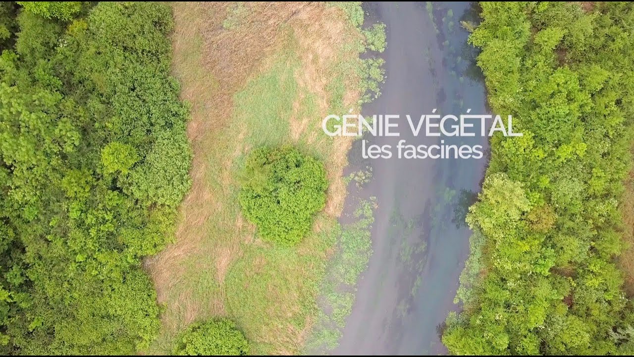 Génie Végétal - Les fascines