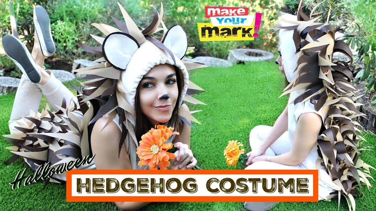 Halloween Hedgehog Costume