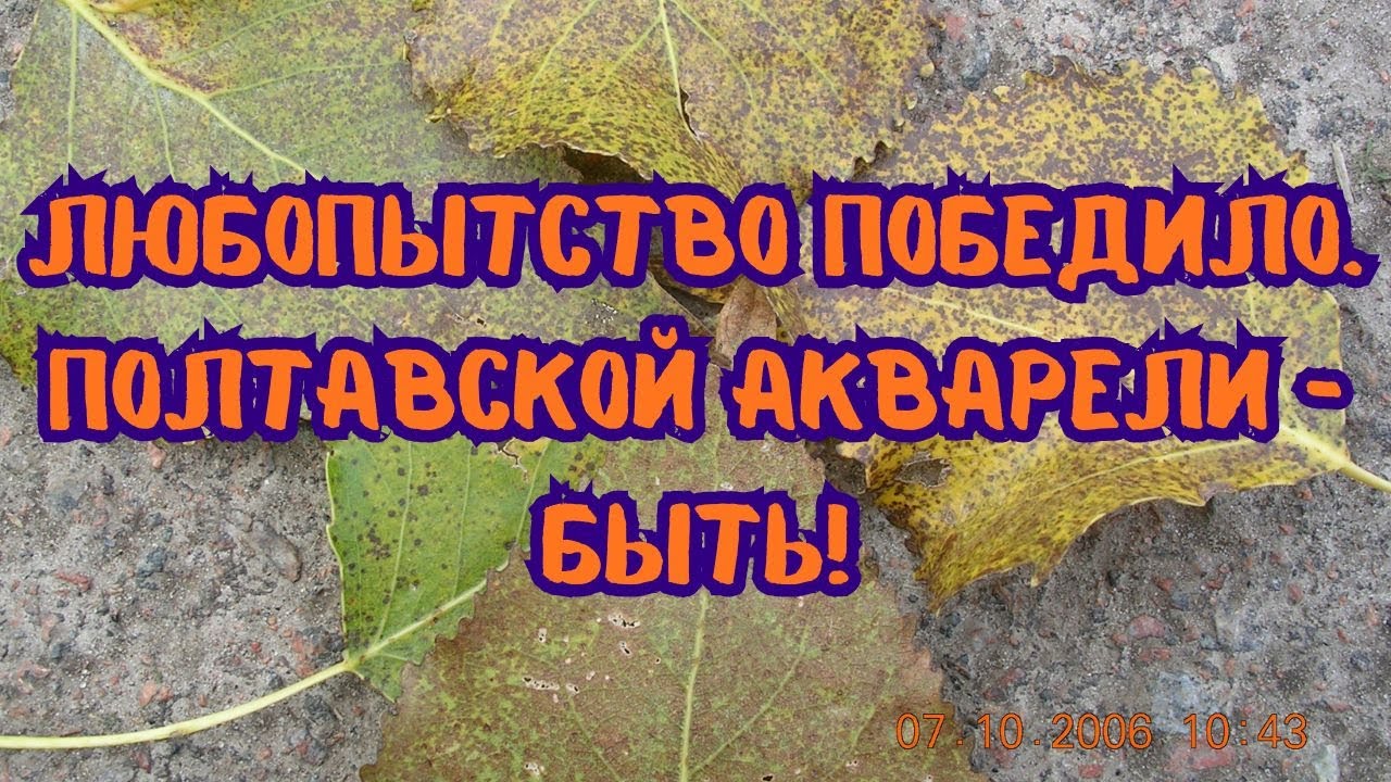Акварельная новинка с Опошни Полтавской области в моих руках: что внутри набора?