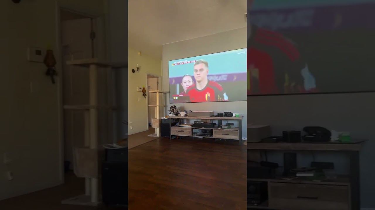 Vava 4k with ALR 100&rdquo; screen