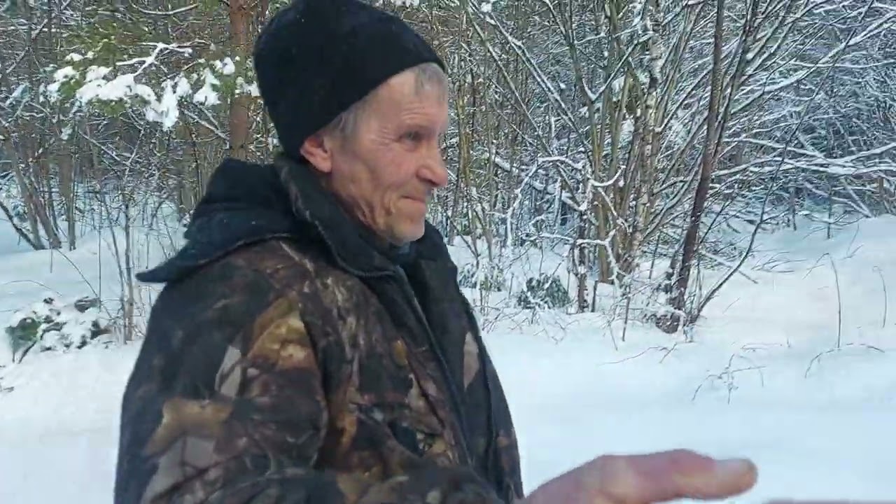 Борисовские межрайонные испытания гончих 04/03/2023 Часть 1