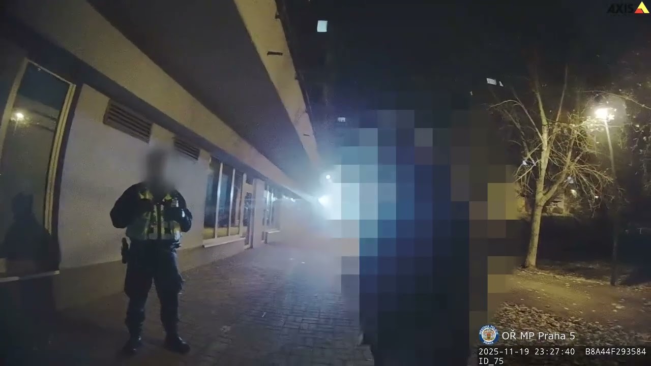 MLADÝ MUŽ STRÁŽNÍKŮM NADÁVAL. PO NASAZENÍ POUT SE ROZPLAKAL
