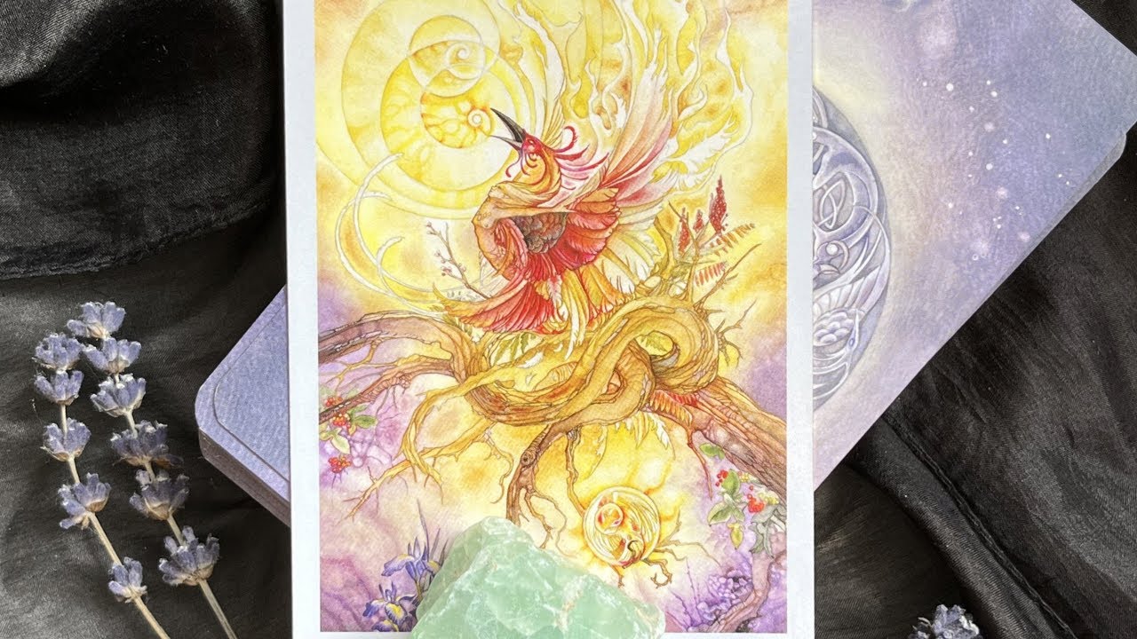 КАРТА ТАРО ДЛЯ КАЖДОГО ЗНАКА НА НОВОЛУНИЕ В РЫБАХ 19 МАРТА 2026