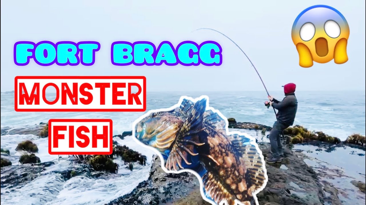 Catch and cook twice! Fort Bragg Rockfish Paradise