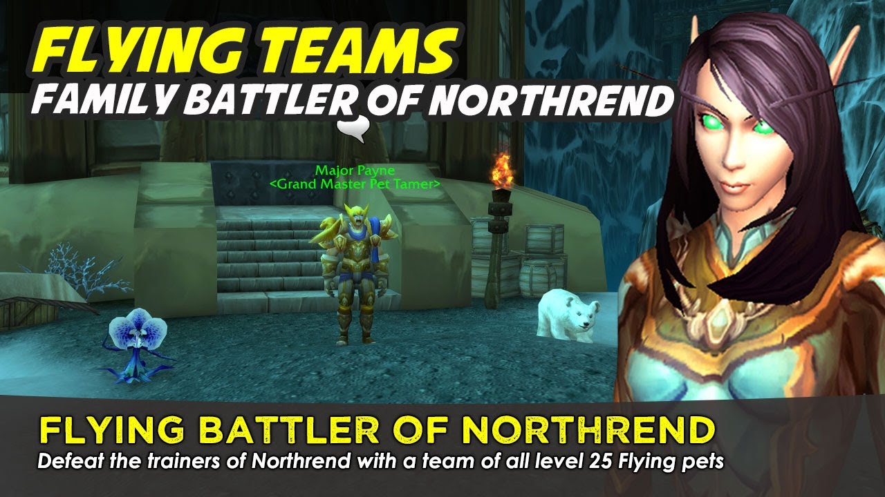 Flying Battler of Northrend