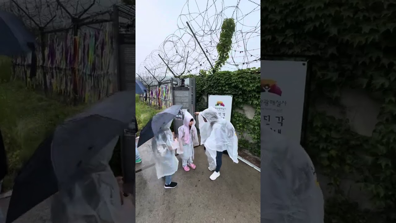 DMZ Discovery: Uncovering the Secrets of Korea's Divided Zone