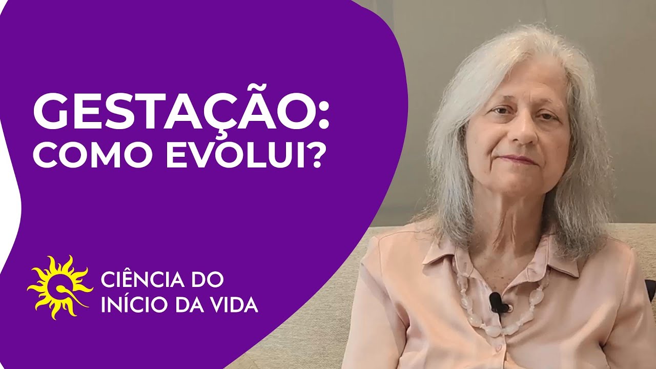 GESTAÇÃO: Como evolui?