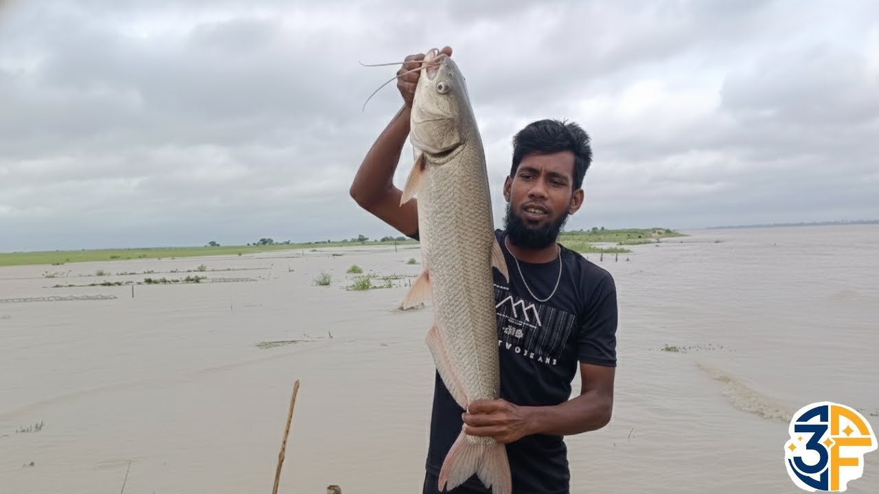 পদ্মা নদীতে মাছ শিকার // চায়না দোহার // Season 1 // Padma Vlogs - পদ্মা ভুলগ