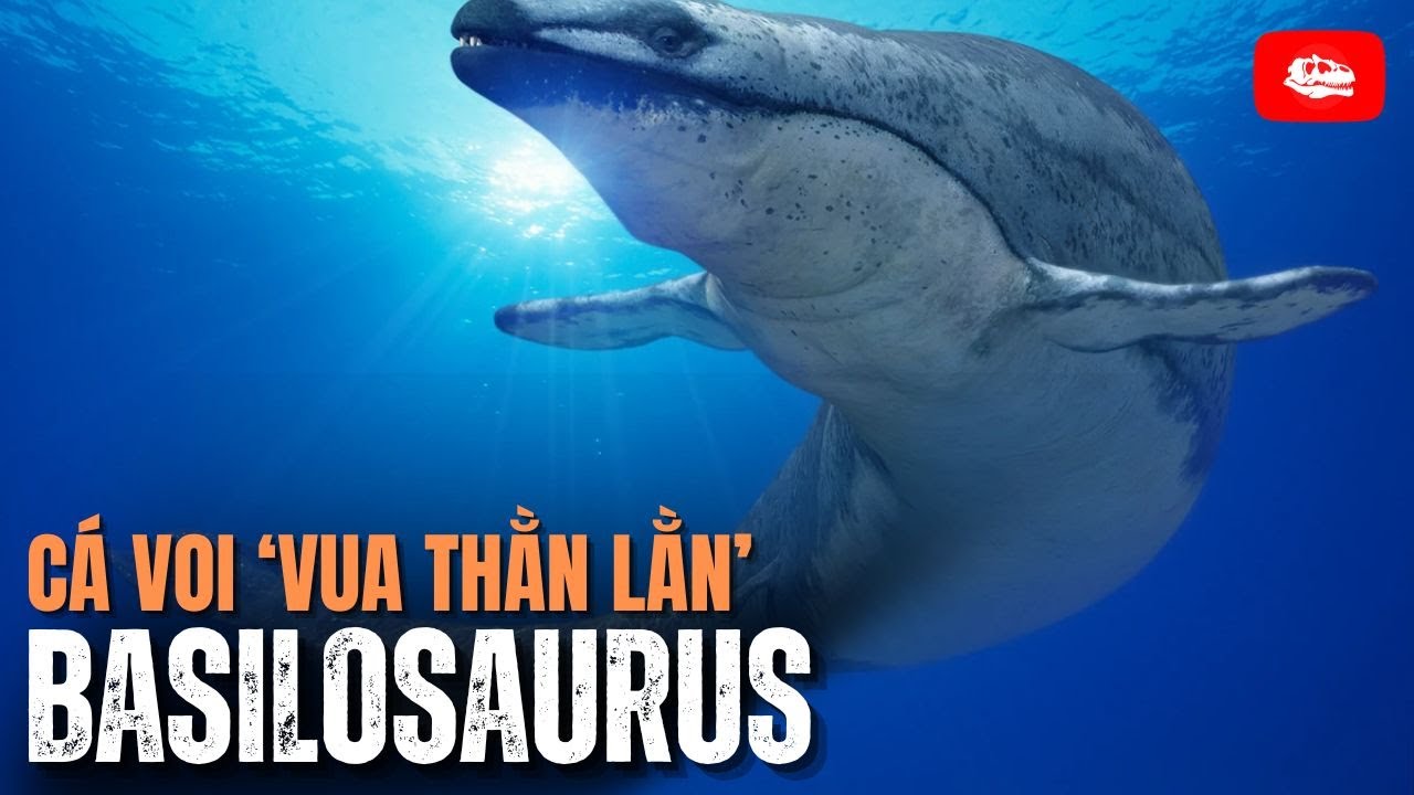 Basilosaurus: “Vua thằn lằn” nhưng lại là cá voi | Hồ sơ cổ sinh