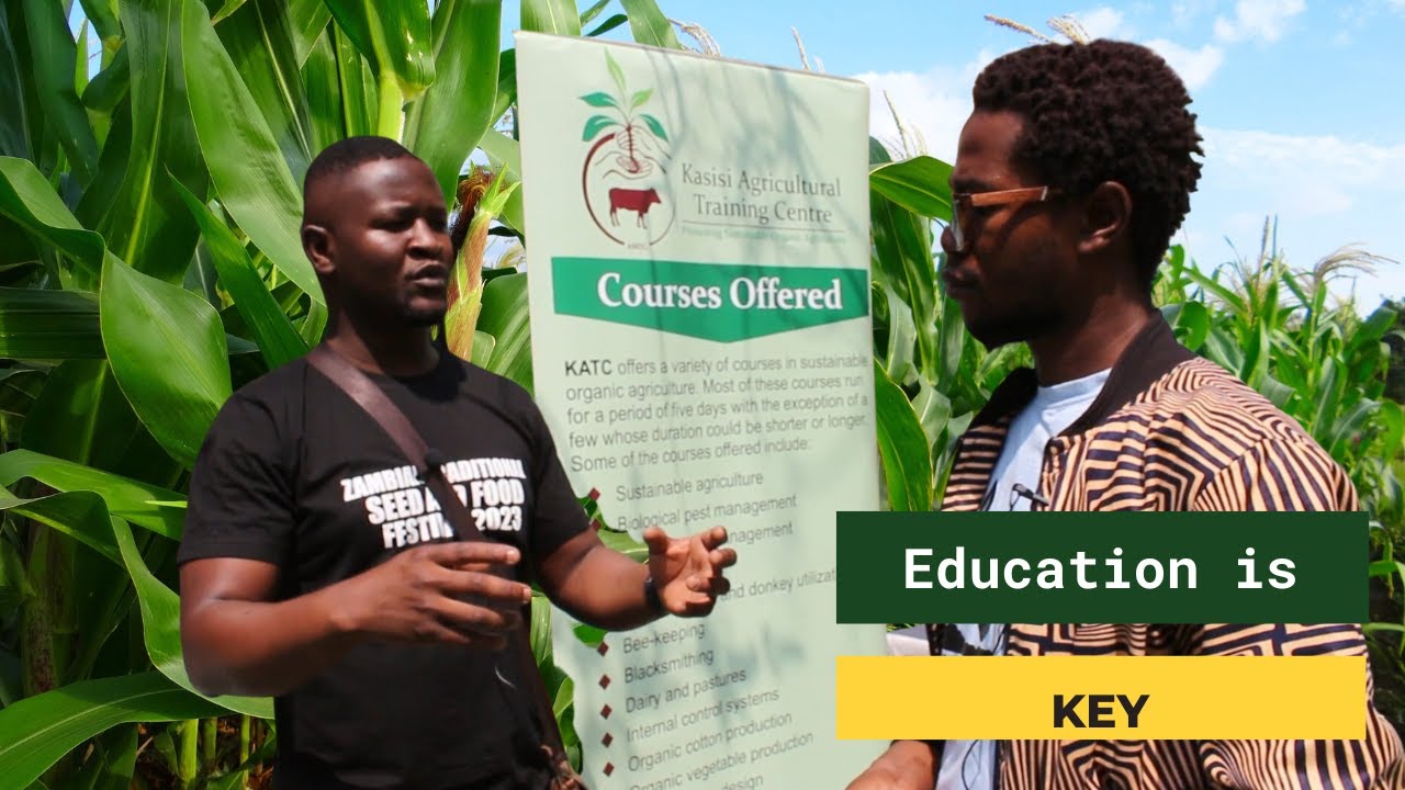 Learn to grow food organically | Kasisi Agricultural Training Centre
