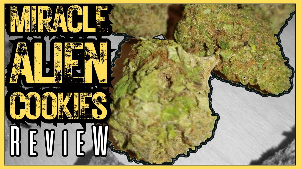 Can Miracle Alien Cookies Take Your Cannabis Experience to Another Dimension? - Strain Review