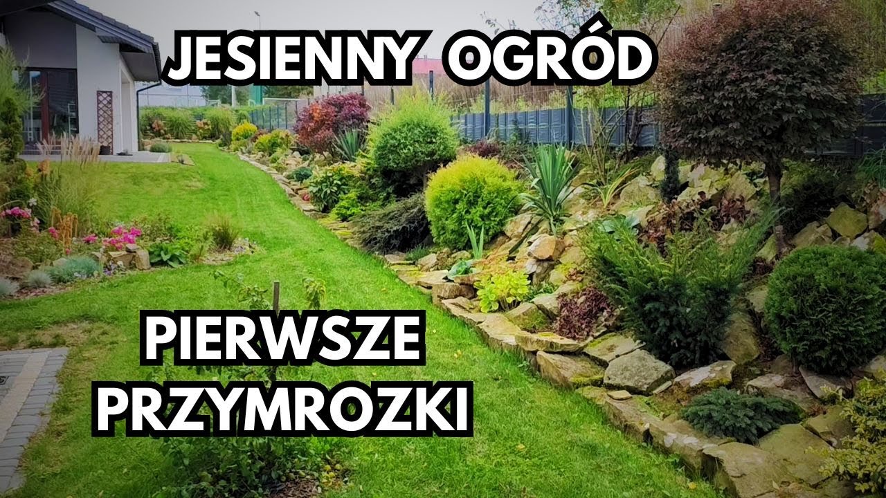 Które rośliny wyglądają atrakcyjnie na początku października | Ogród po pierwszych przymrozkach