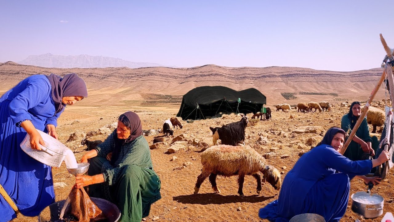 From milk to butter: A nomadic morning with family and animals