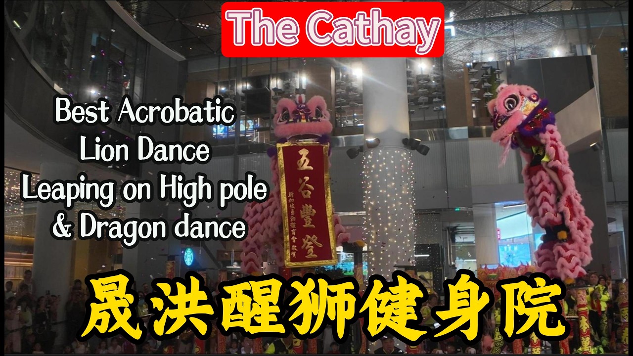 Best Acrobactic Lion Dance ,  Dragon Dance & War Drums By 晟洪醒狮健身院 2月24日