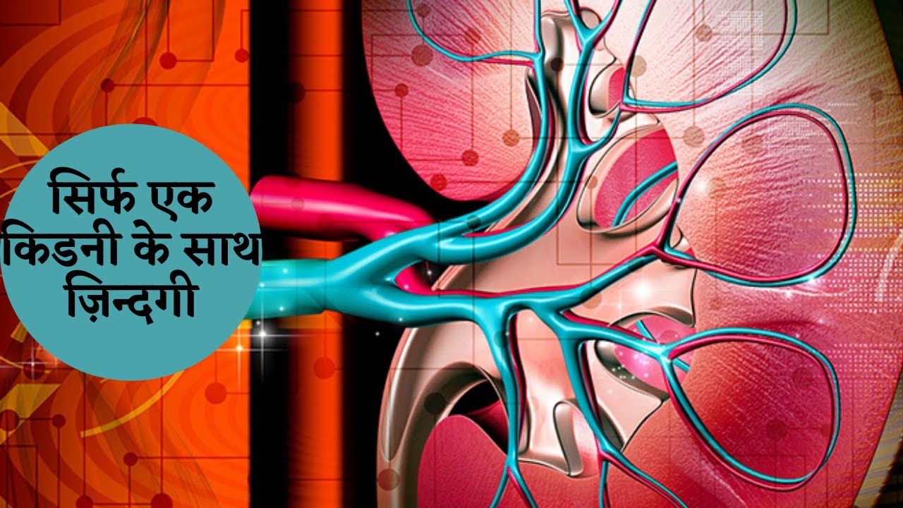 Living With One Kidney | सिर्फ एक किडनी के साथ ज़िन्दगी | In Hindi