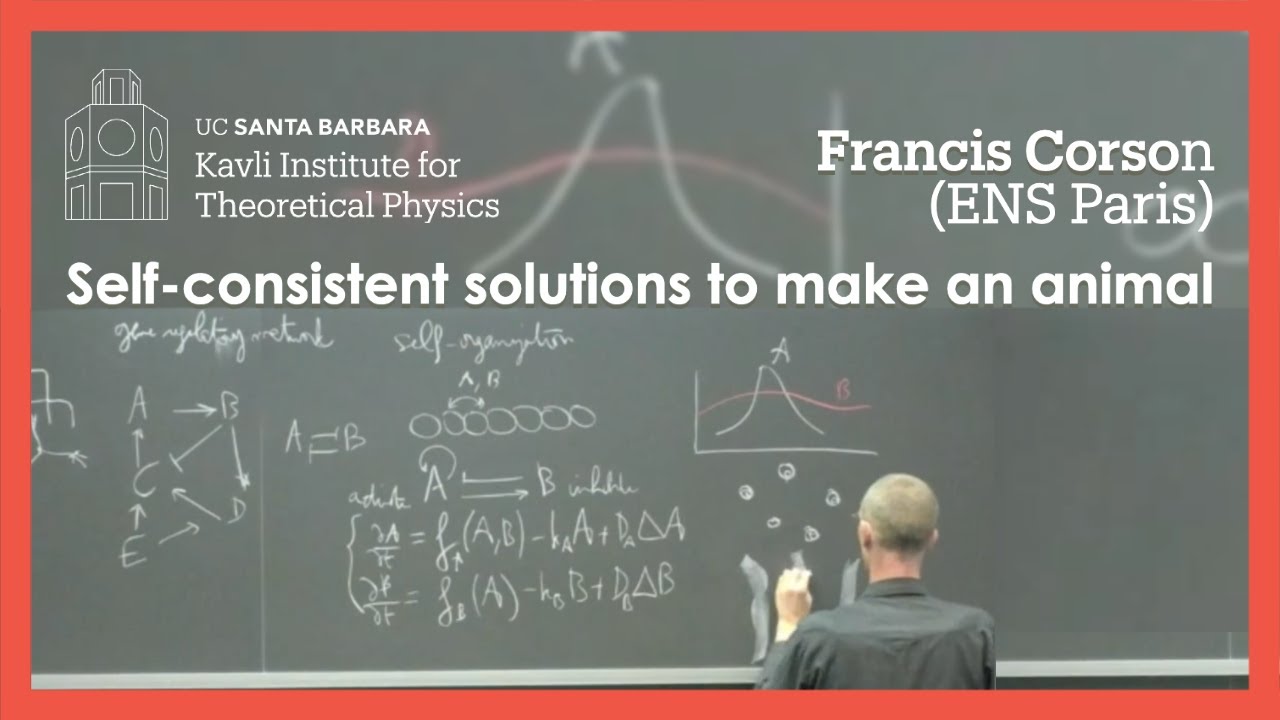 Self-consistent solutions to make an animal ▸ KITP Blackboard Talk by Francis Corson (ENS Paris)