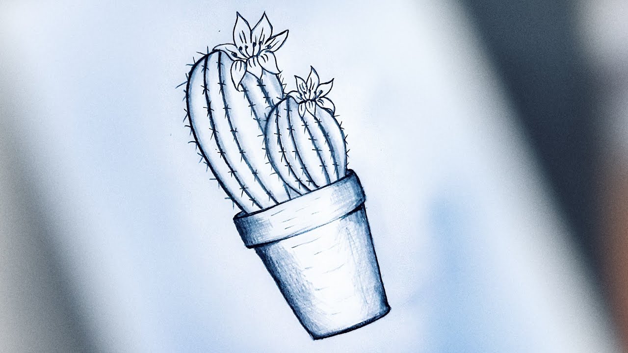 Karakalem Kaktüs Çizimi. Yeni Başlayanlar için kolay çizim fikirleri. Cactus Drawing.