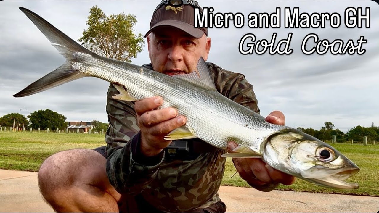 Gold Coast Fishing - Chasing Giant Herring 