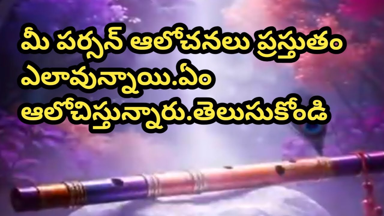 💯❤మీ పర్సన్ ఆలోచనలు ప్రస్తుతం ఎలా వున్నాయి తెలుసుకోండి