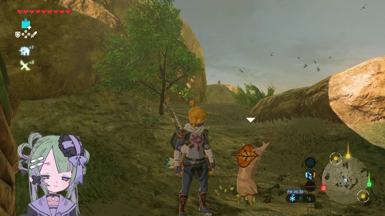 【  #ゼルダの伝説ブレスオブザワイルド    】　第14回　風を感じるリンクと風邪を怖がる私 ※Twitch同時配信【 空のあほ 】#vtuber #初見さん大歓迎です
