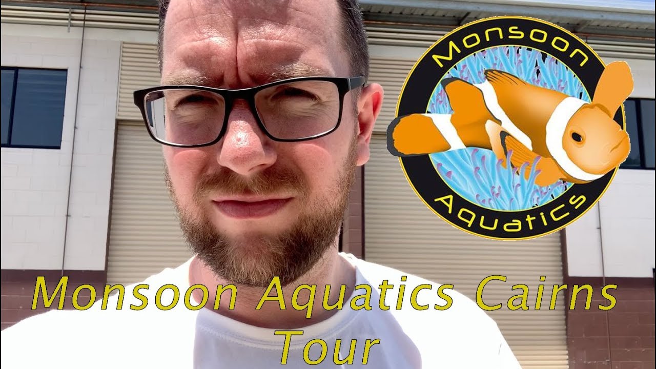Monsoon Aquatics, Cairns Tour