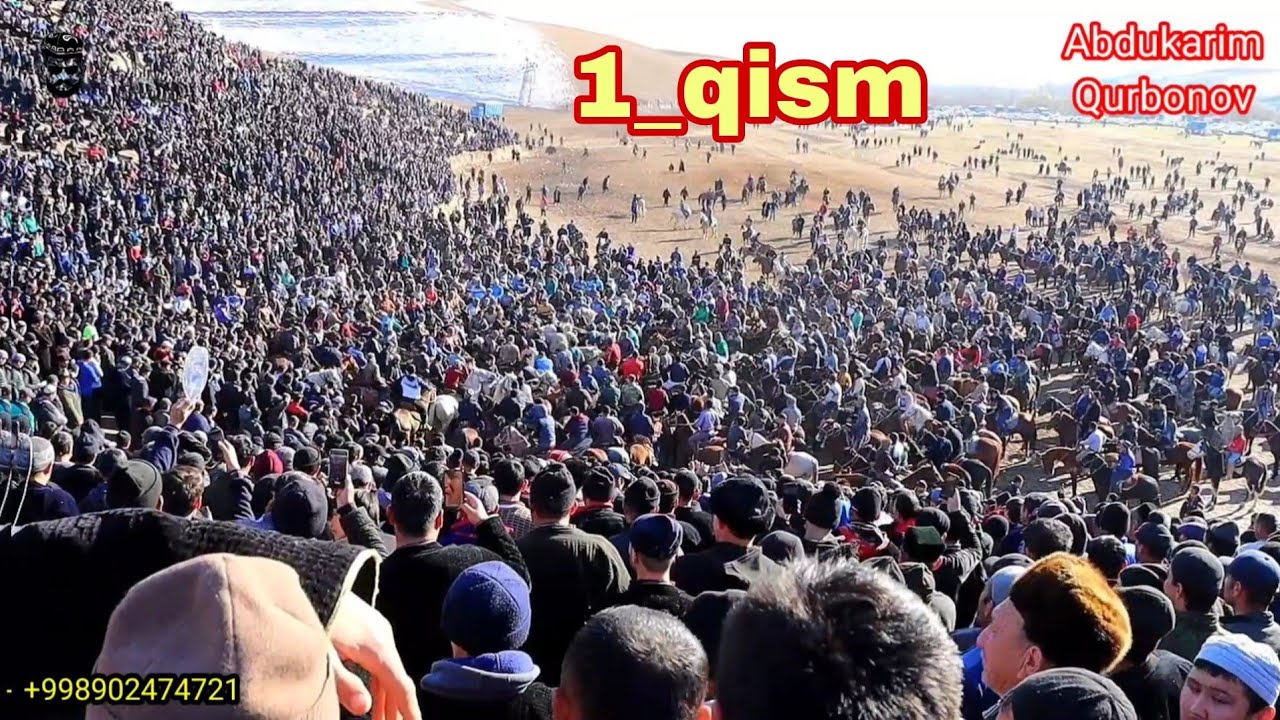Shov shuvlarga sabab bo'lgan ko'pkari.! Surxondaryo Sariosiyo Sanjarbek Raisning ko'pkarisi 1_qism
