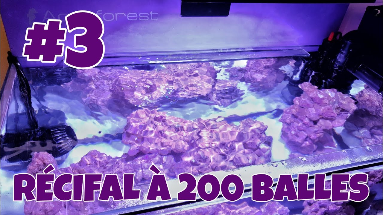 RÉCIFAL À 200 BALLES #3