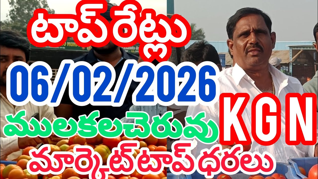 ములకలచెరువు KGN టొమాటో మార్కెట్ టాప్ ధరలు #price #rates #today #tomato #mulakalachervu 