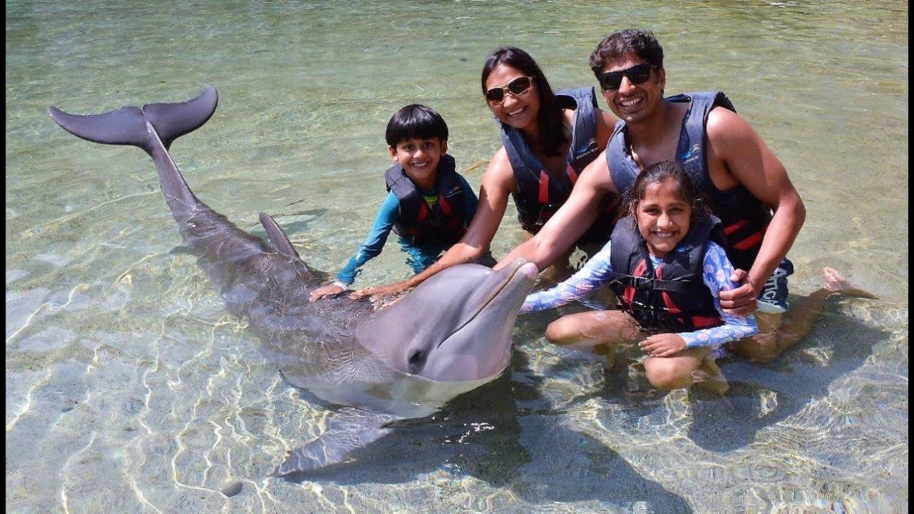 Big Island Hawaii - Hilton Waikoloa Village Dolphin Encounter