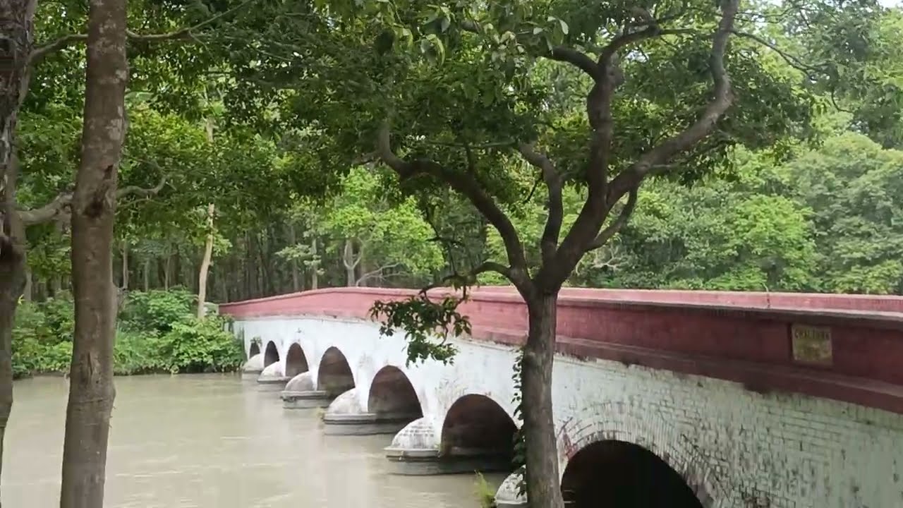 Mailani Jungle, located near the Kishanpur Range within Dudhwa National Park in Uttar Pradesh