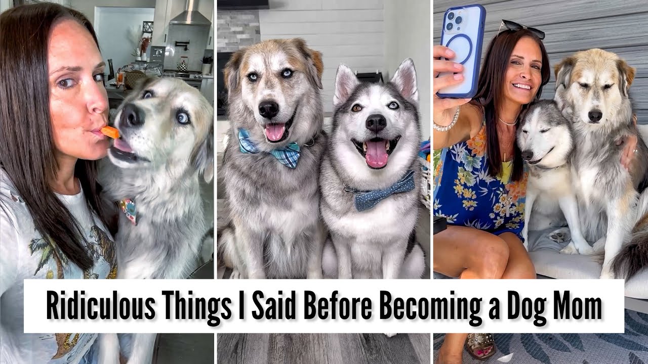 Ridiculous Things I Said Before Becoming A Dog Mom