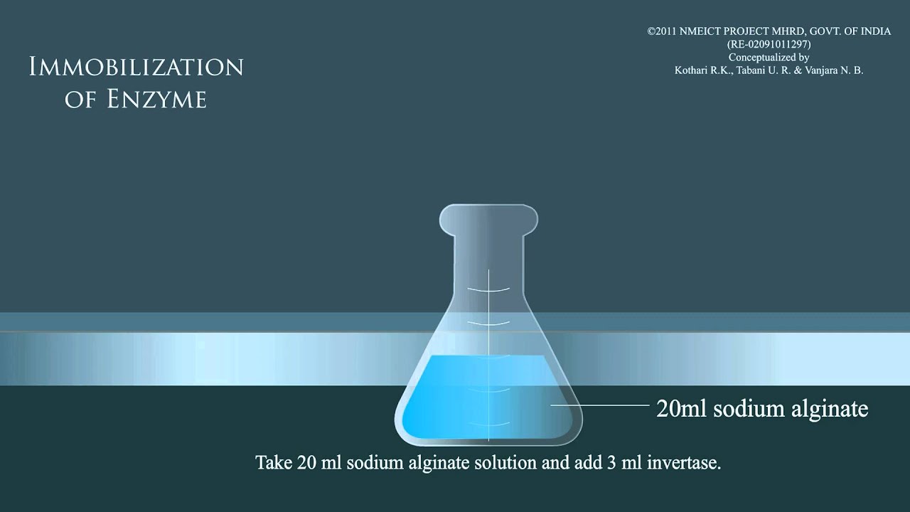 Immobilization of enzymes