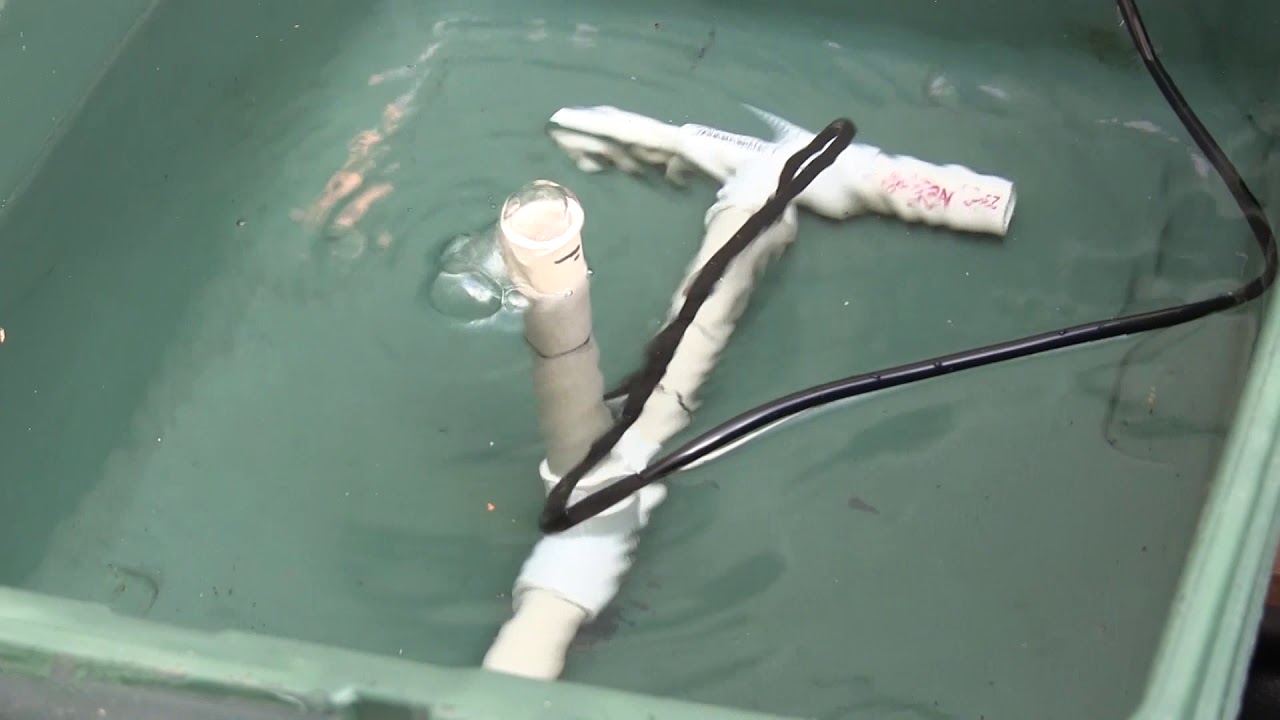 Deep Water Culture with Air Lift Pump