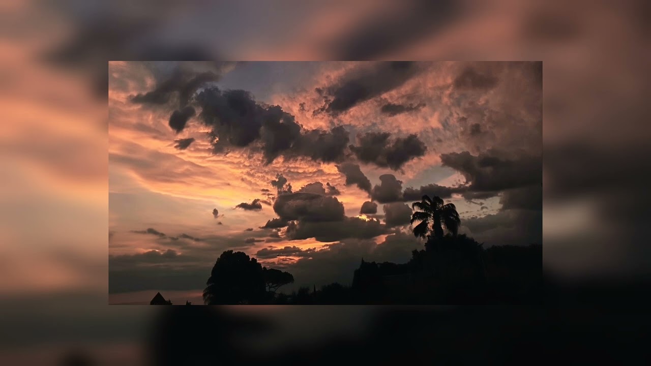 𝐻𝑒𝑛𝑟𝑦 𝑀𝑜𝑟𝑟𝑖𝑠 - 𝐷𝑟𝑢𝑔𝑠 𝑎𝑛𝑑 𝑀𝑜𝑛𝑒𝑦 (𝑆𝑙𝑜𝑤𝑒𝑑)