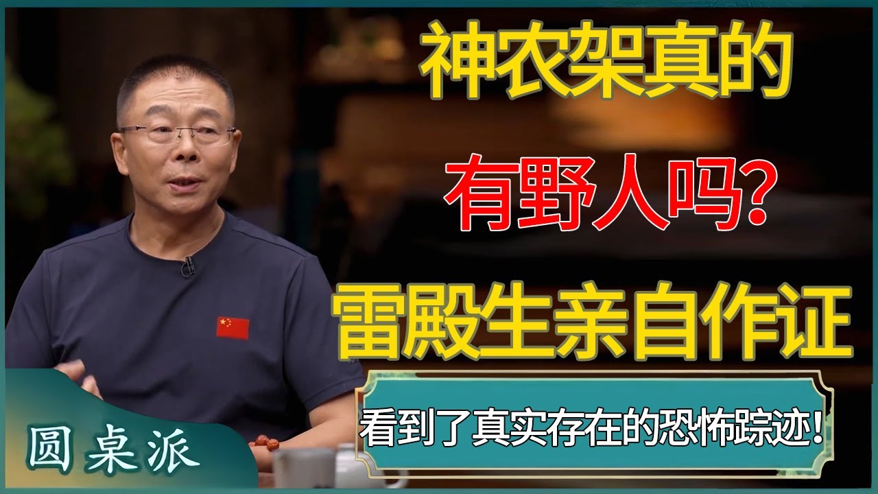 【圆桌派第八季最新】神农架真的有野人吗？徒步大师雷殿生亲自作证：他看到了真实存在的恐怖踪迹！#窦文涛 #梁文道 #马未都 #周轶君 #马家辉 #许子东 #圆桌派  #圆桌派第八季